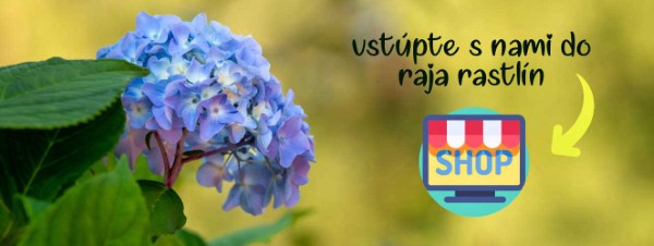 Vstúpte s nami do raja rastlín